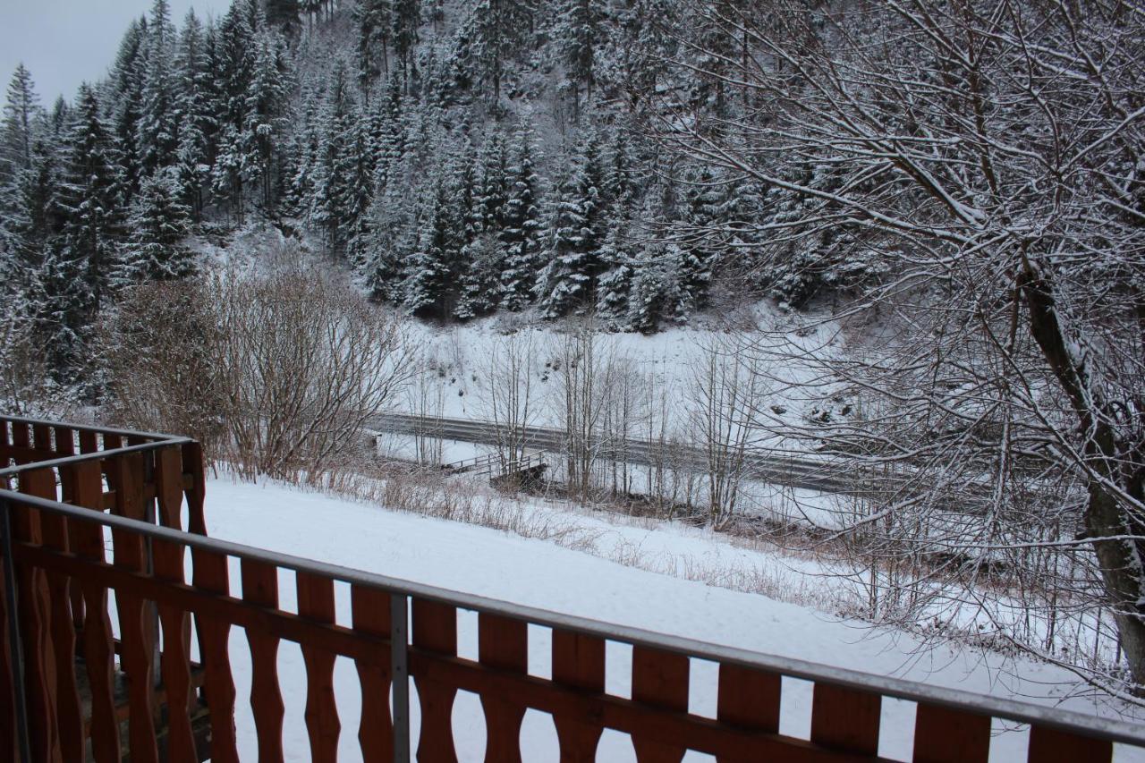 Waldpension Pfeiferhaus Warmensteinach Ngoại thất bức ảnh