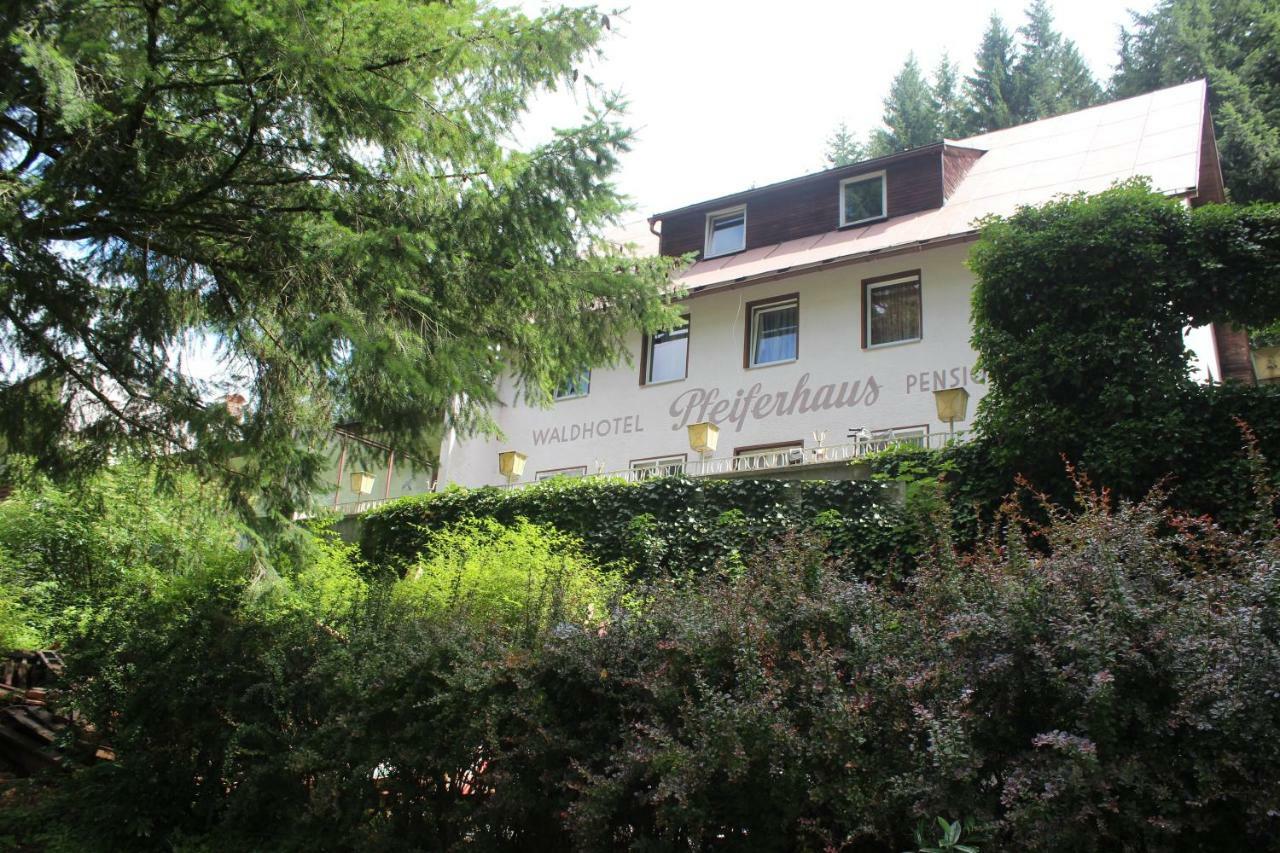 Waldpension Pfeiferhaus Warmensteinach Ngoại thất bức ảnh