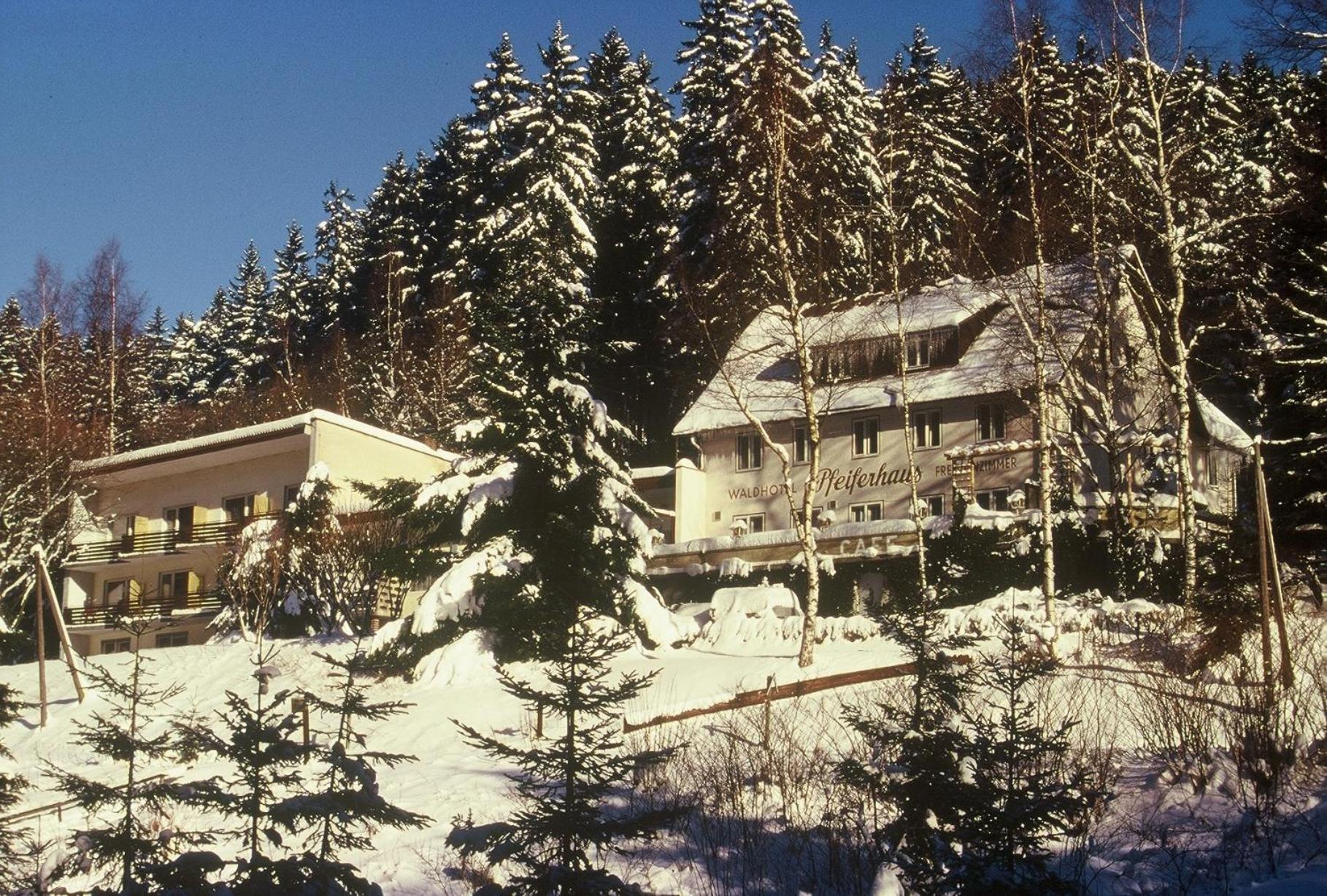 Waldpension Pfeiferhaus Warmensteinach Ngoại thất bức ảnh